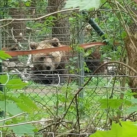 아파트 Baerenhoele Stuer