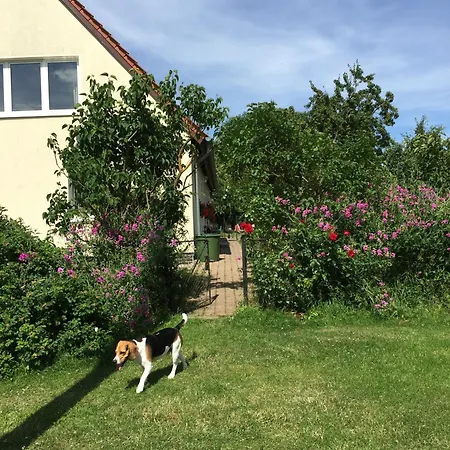 아파트 Baerenhoele *