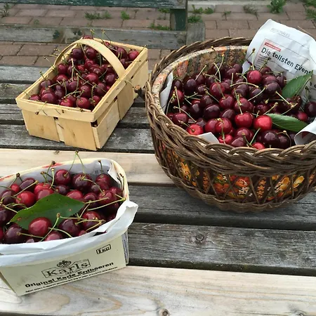 Baerenhoele 아파트 Stuer