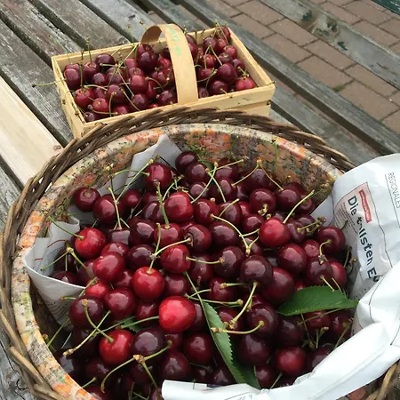 Baerenhoele 아파트 *